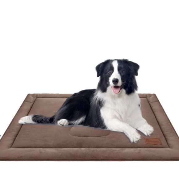 Dog mate - Picture 4 of 4